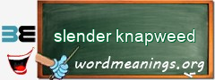 WordMeaning blackboard for slender knapweed